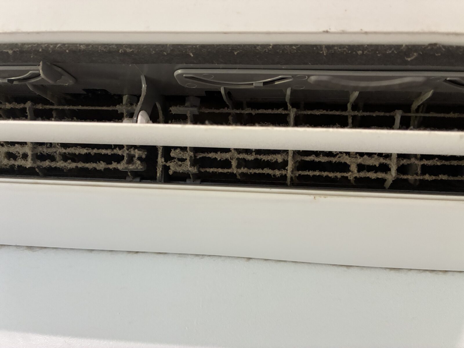 Split-system aircon barrel fan and coils caked with dust and mould before a professional hydro-clean